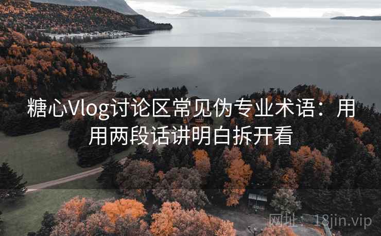 糖心Vlog讨论区常见伪专业术语：用用两段话讲明白拆开看