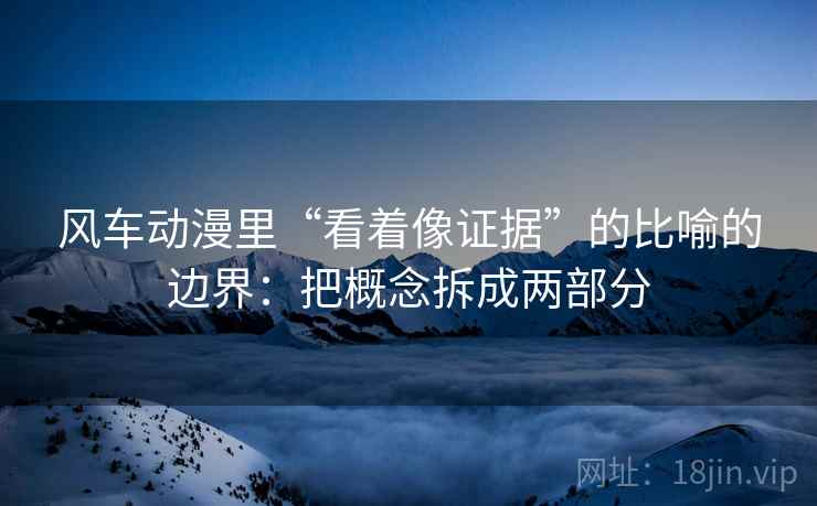 风车动漫里“看着像证据”的比喻的边界：把概念拆成两部分